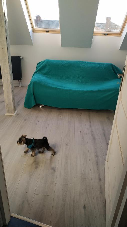 Apartament Witkacego Zielony Słupsk Esterno foto