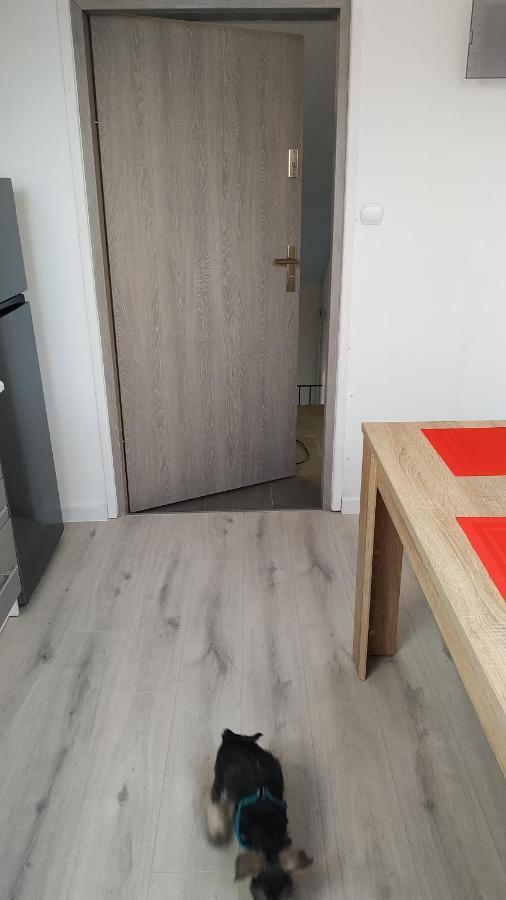 Apartament Witkacego Zielony Słupsk Esterno foto