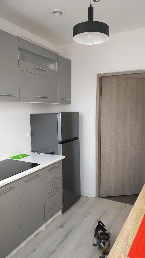 Apartament Witkacego Zielony Słupsk Esterno foto